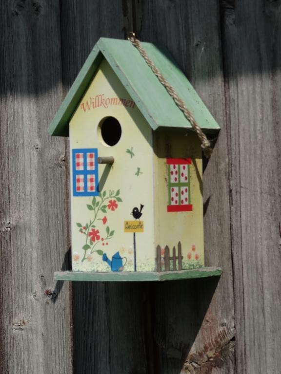 Gais Vogelnestヴィラ エクステリア 写真
